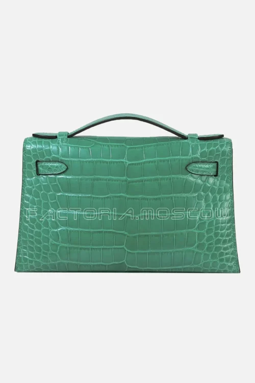Crocodile Alligator