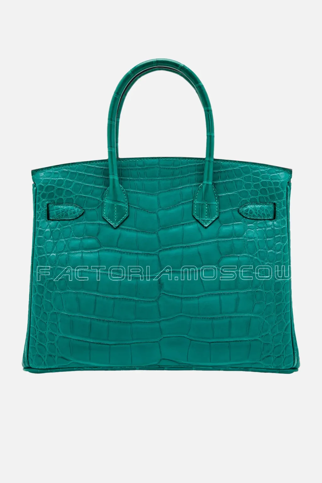 Matte Alligator