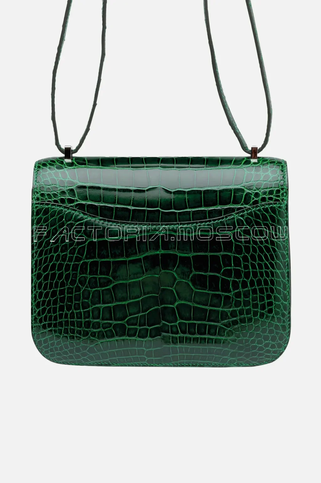 Shiny Alligator