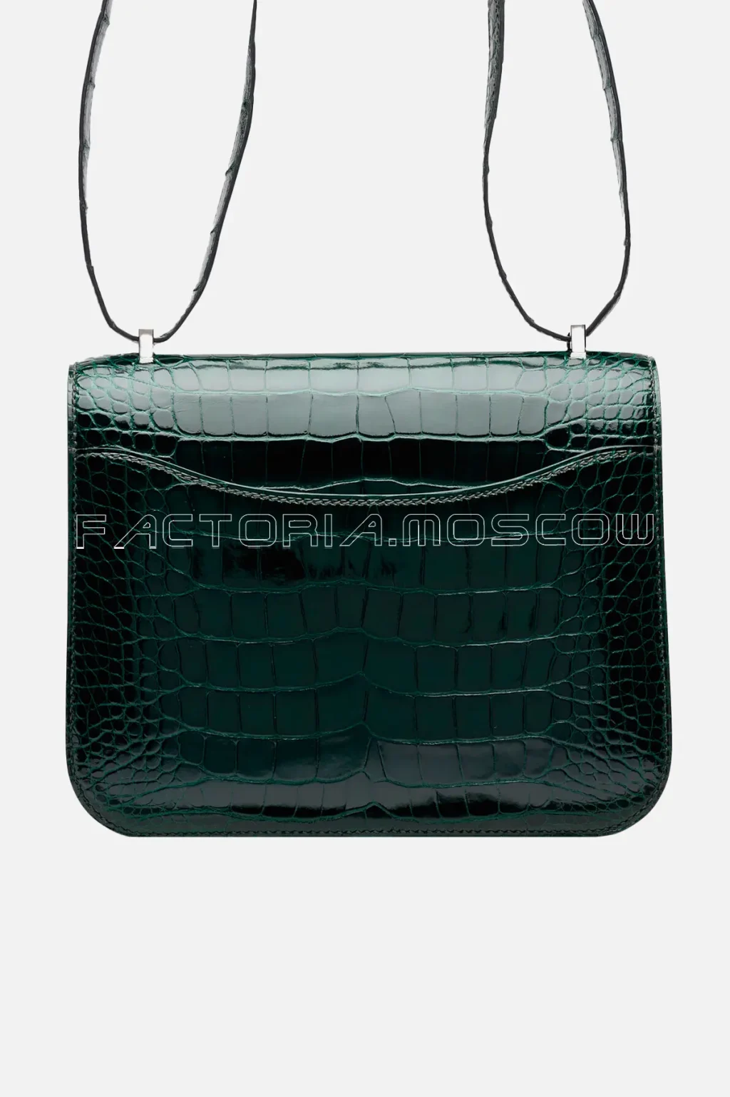 Shiny Alligator