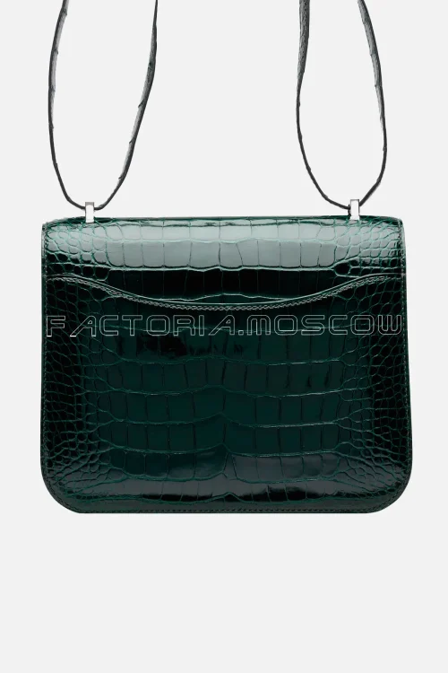 Shiny Alligator