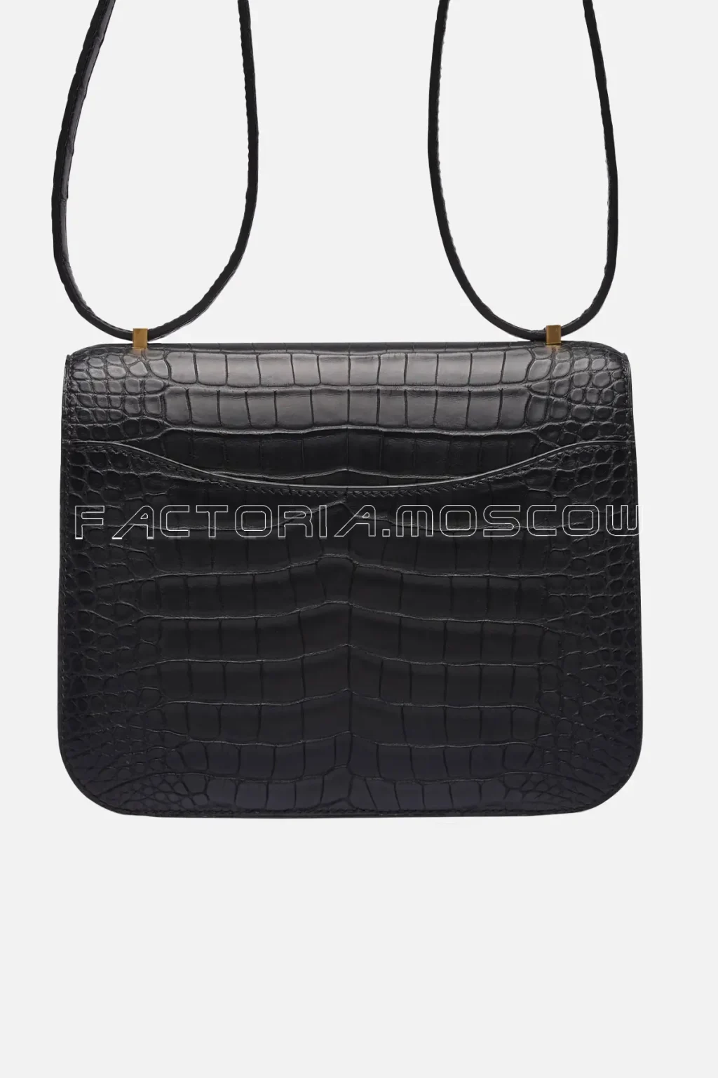 Matte Alligator