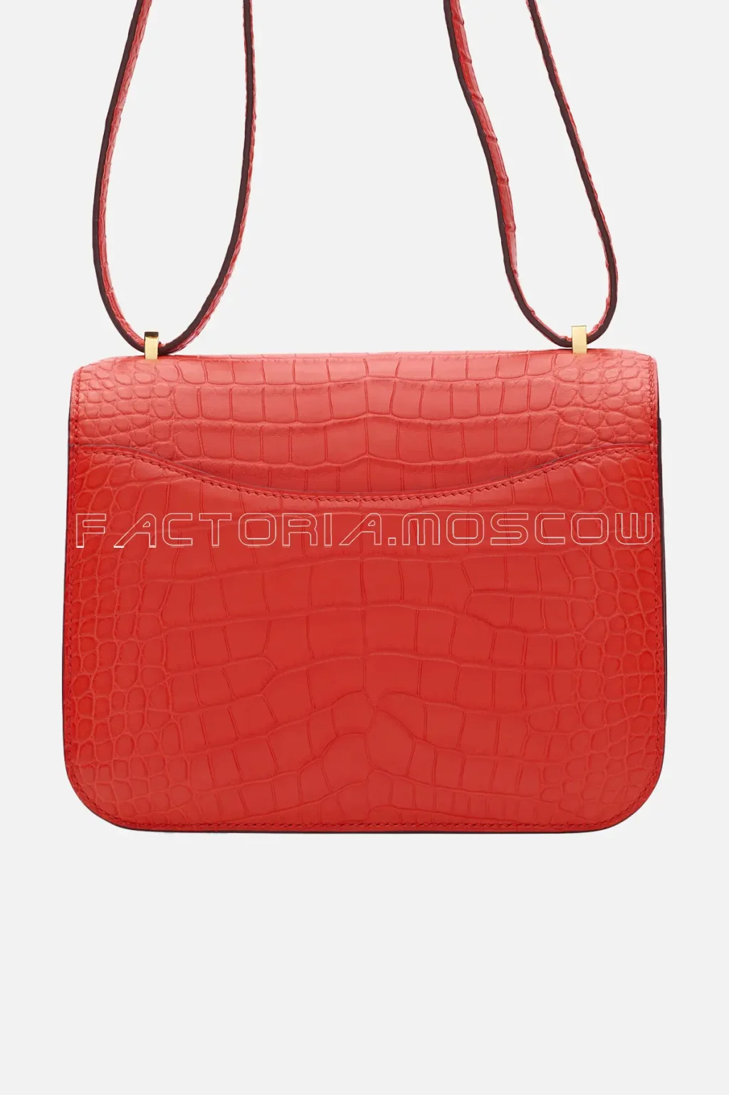 Matte Alligator