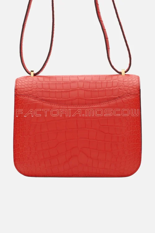 Matte Alligator