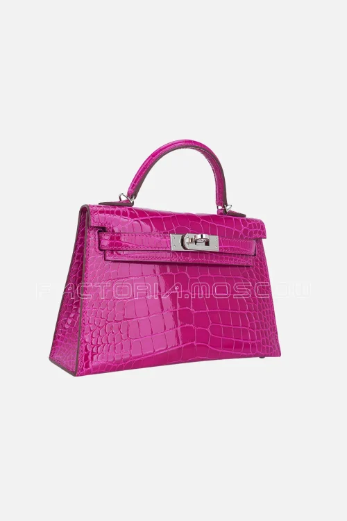 Alligator lisse