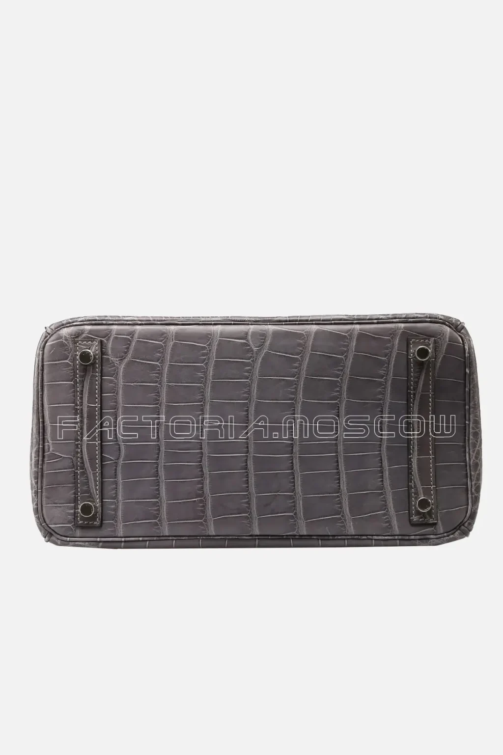 Alligator Matte