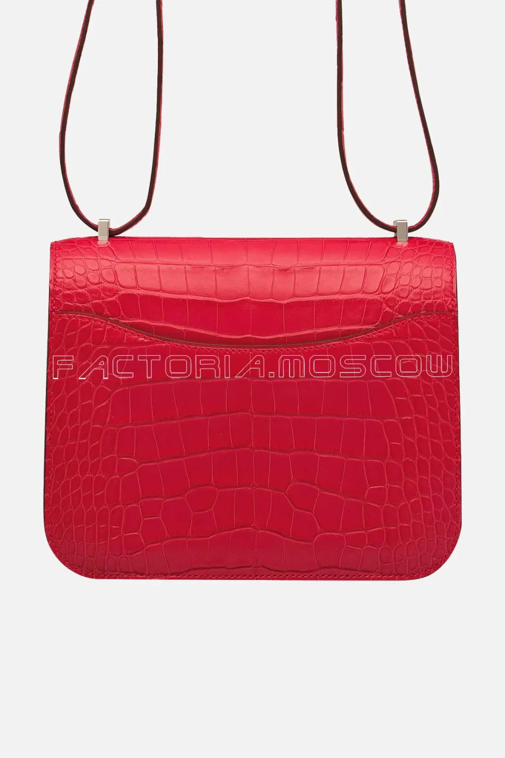 Matte Alligator