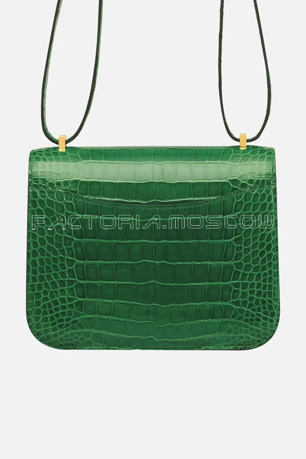 Alligator Lisse