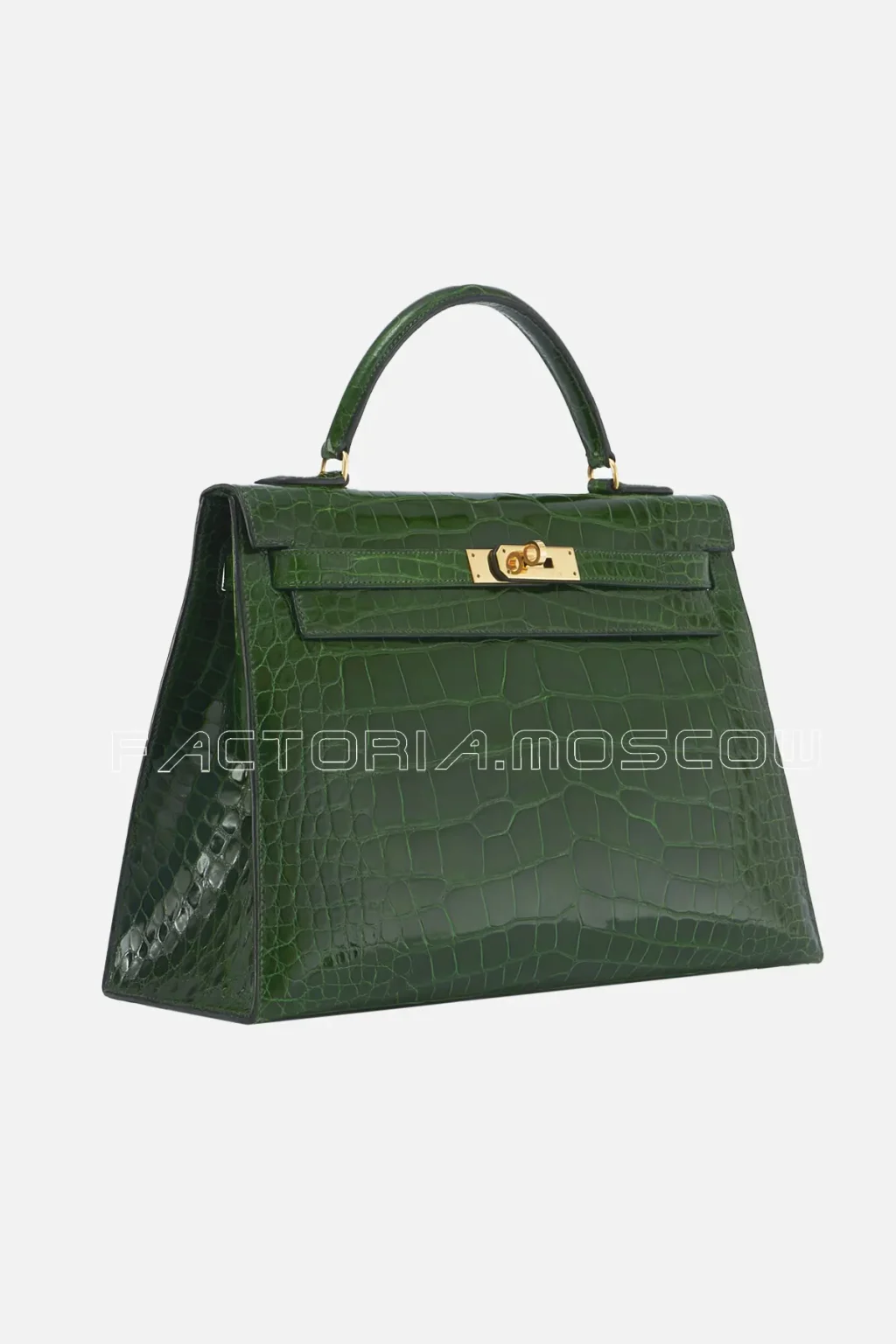 Alligator Lisse