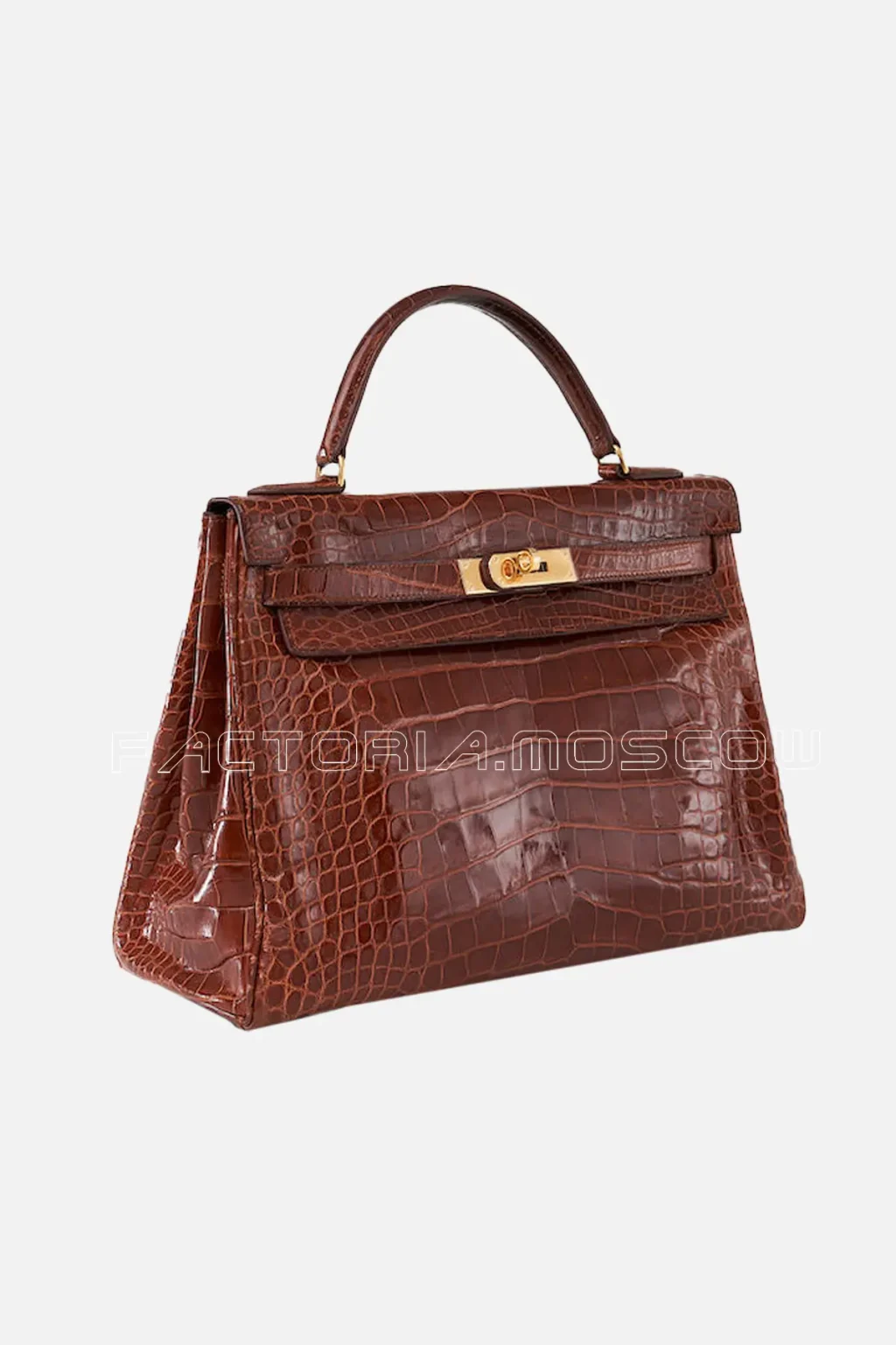 Alligator Lisse