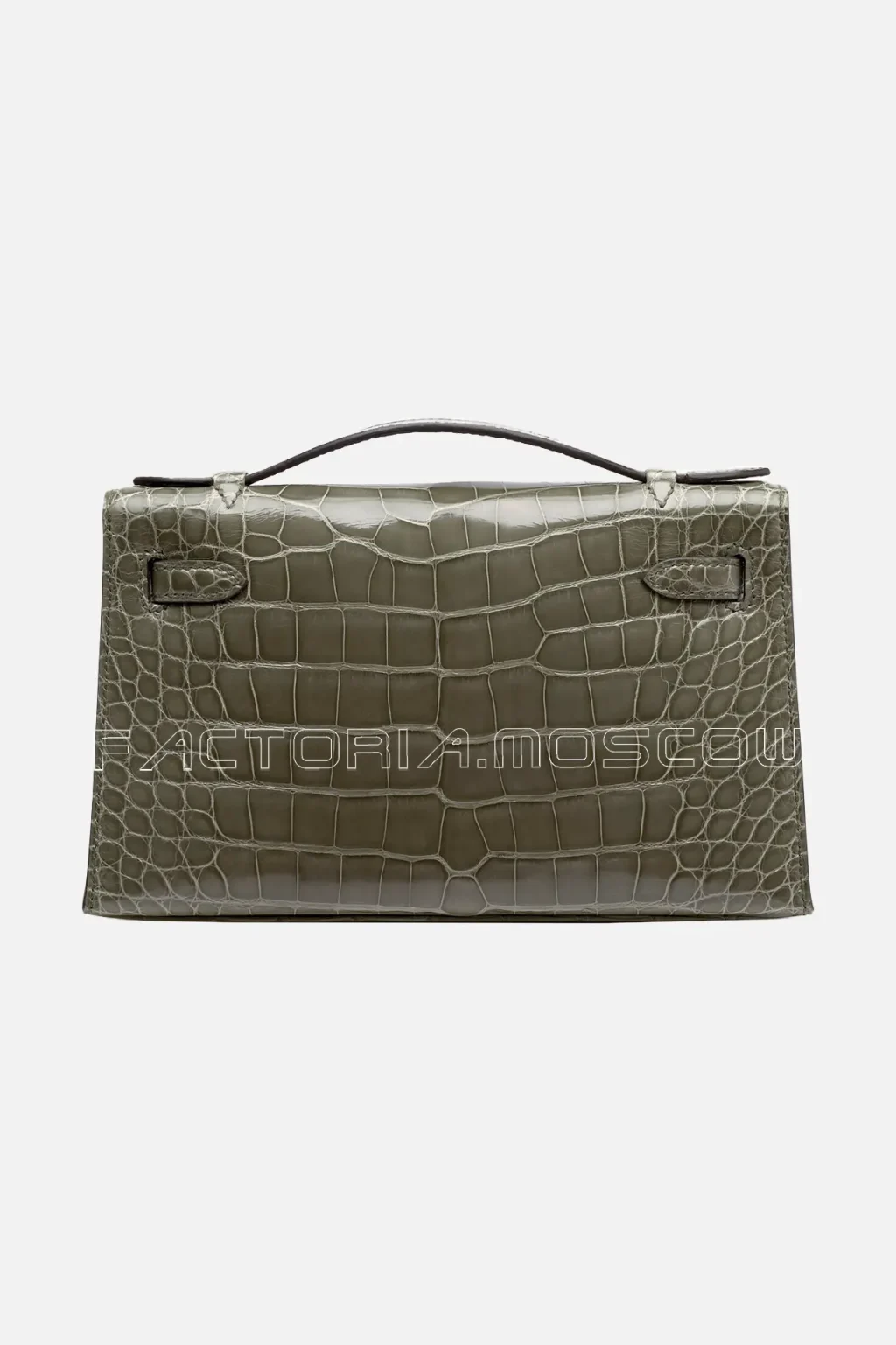 Shiny Alligator