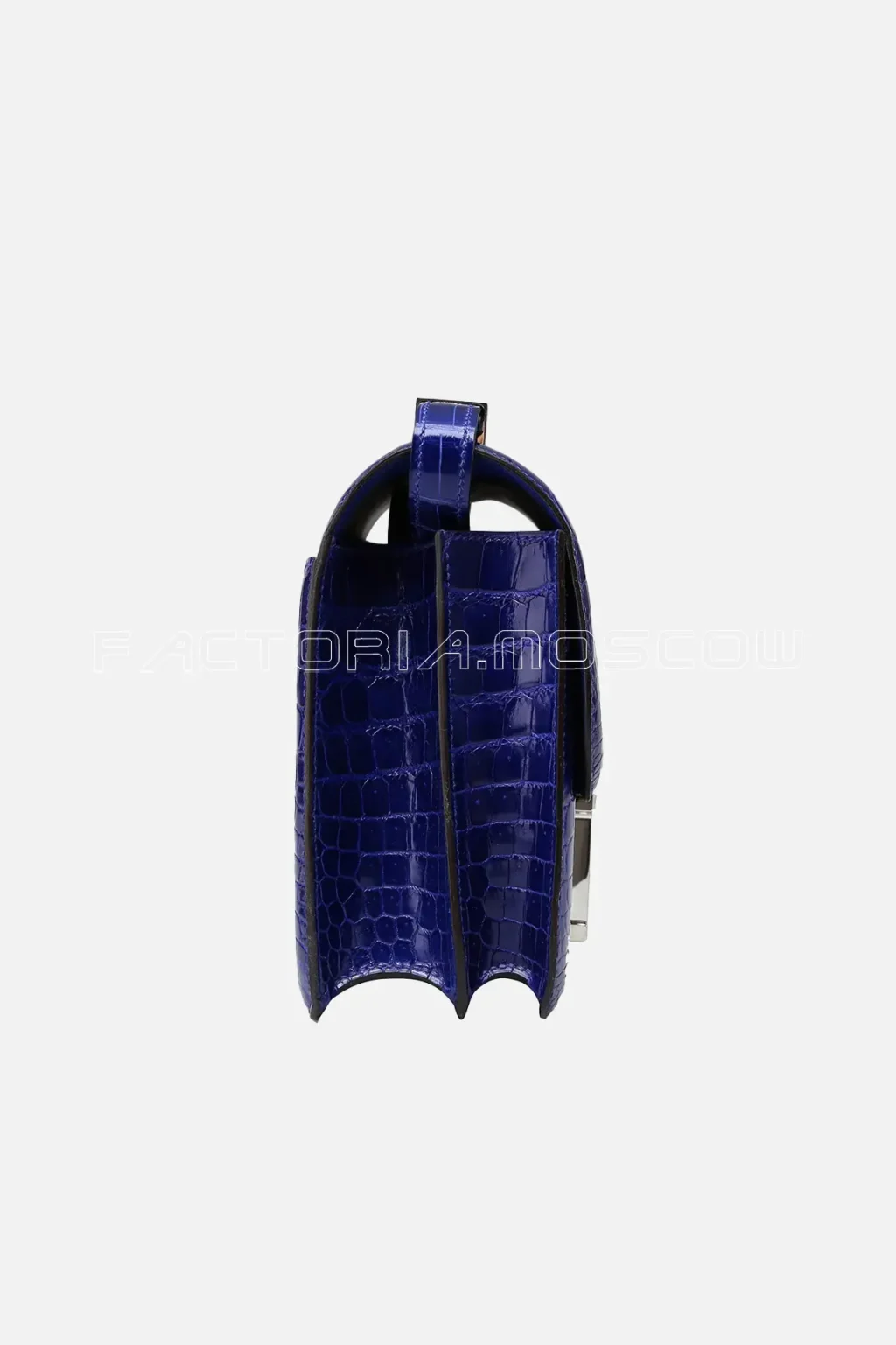 Crocodile Niloticus Lisse