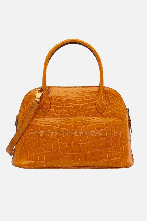 Alligator
