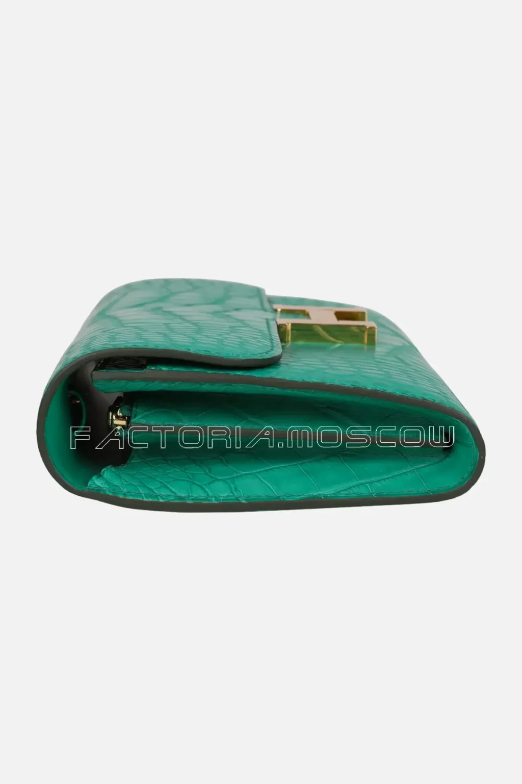 Matte Alligator