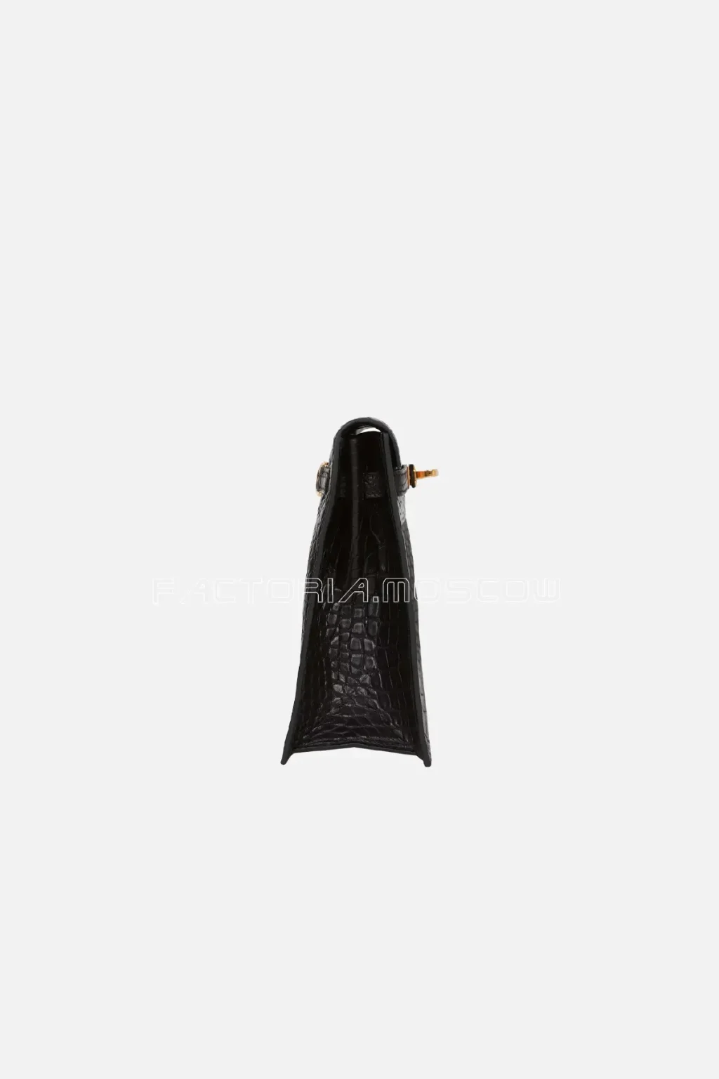 Matte Alligator