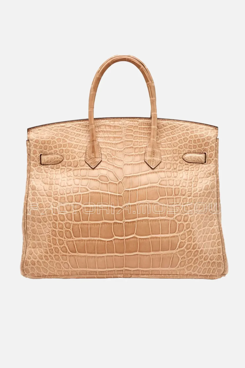 Matte Alligator