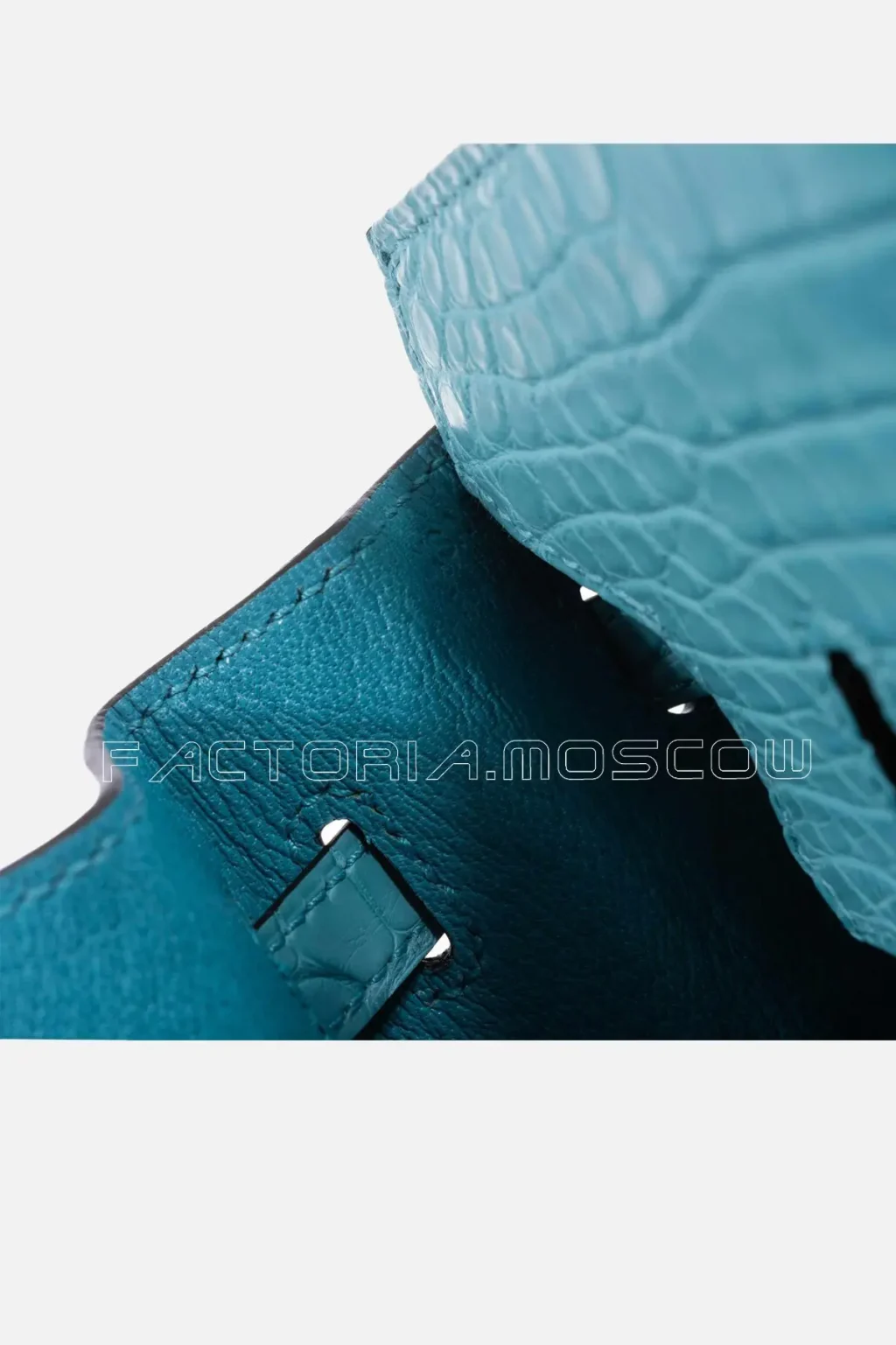 Matte Alligator