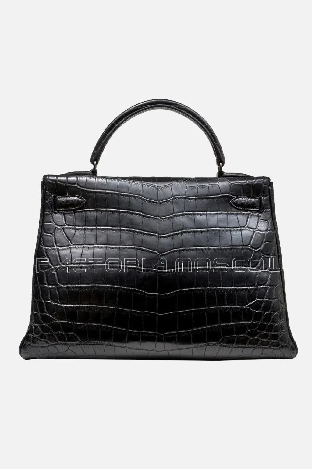 Matte Niloticus Crocodile