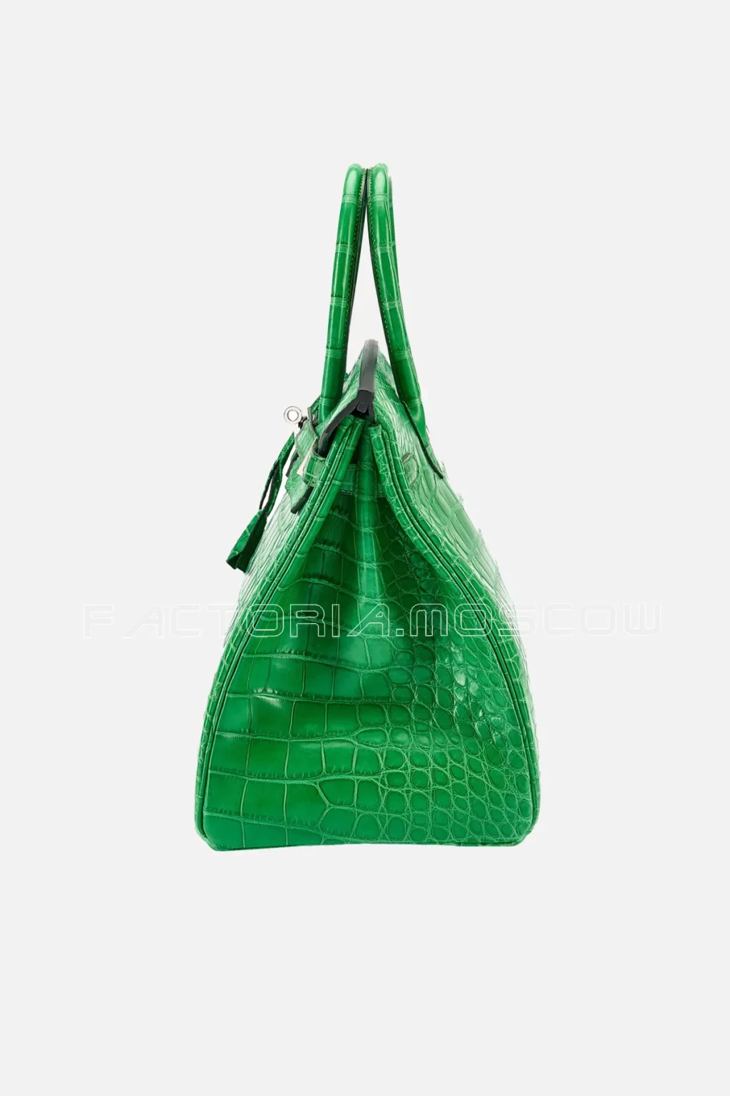 Matte Alligator