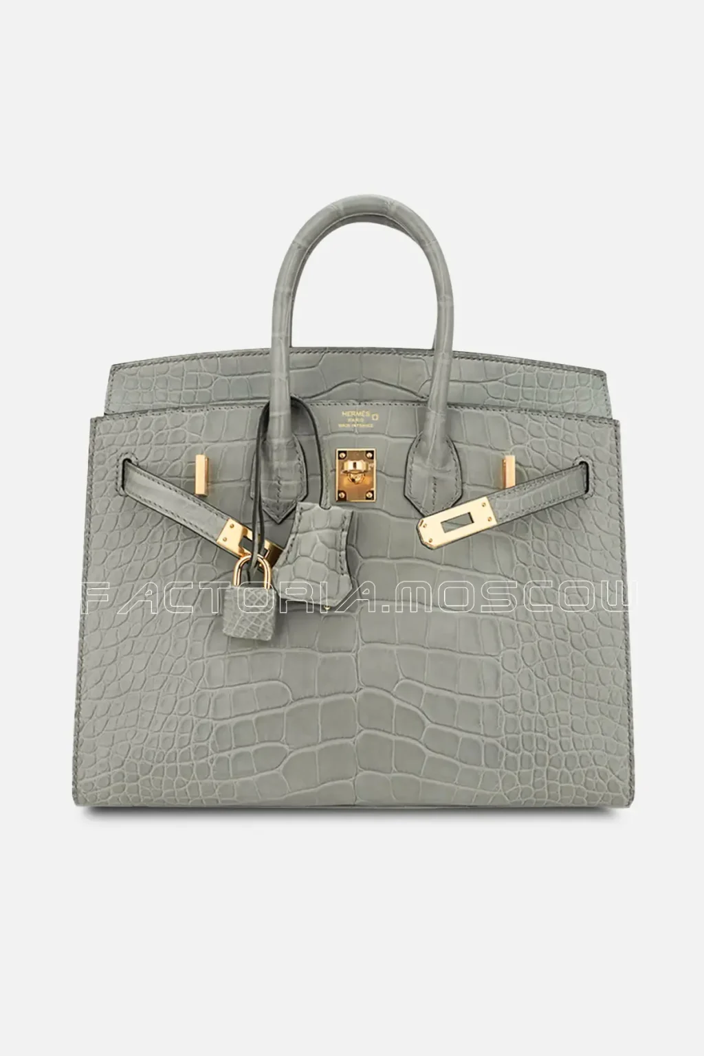Matte Alligator