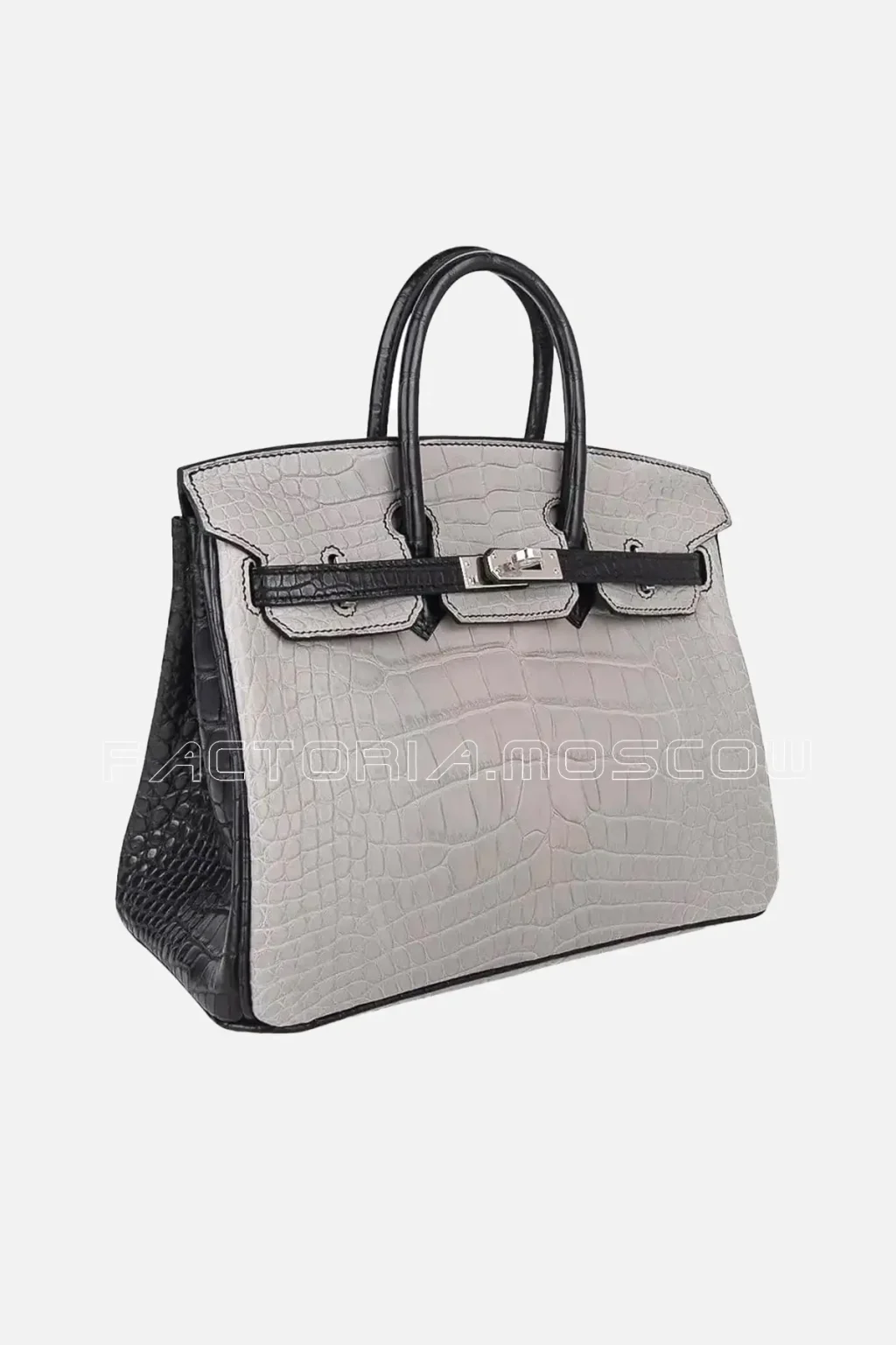 Matte Alligator