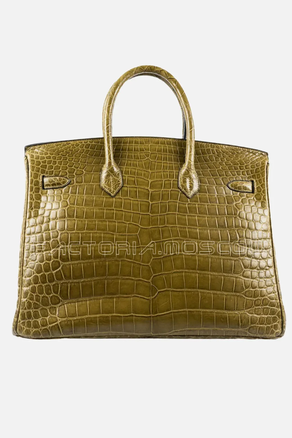 Matte Porosus Crocodile