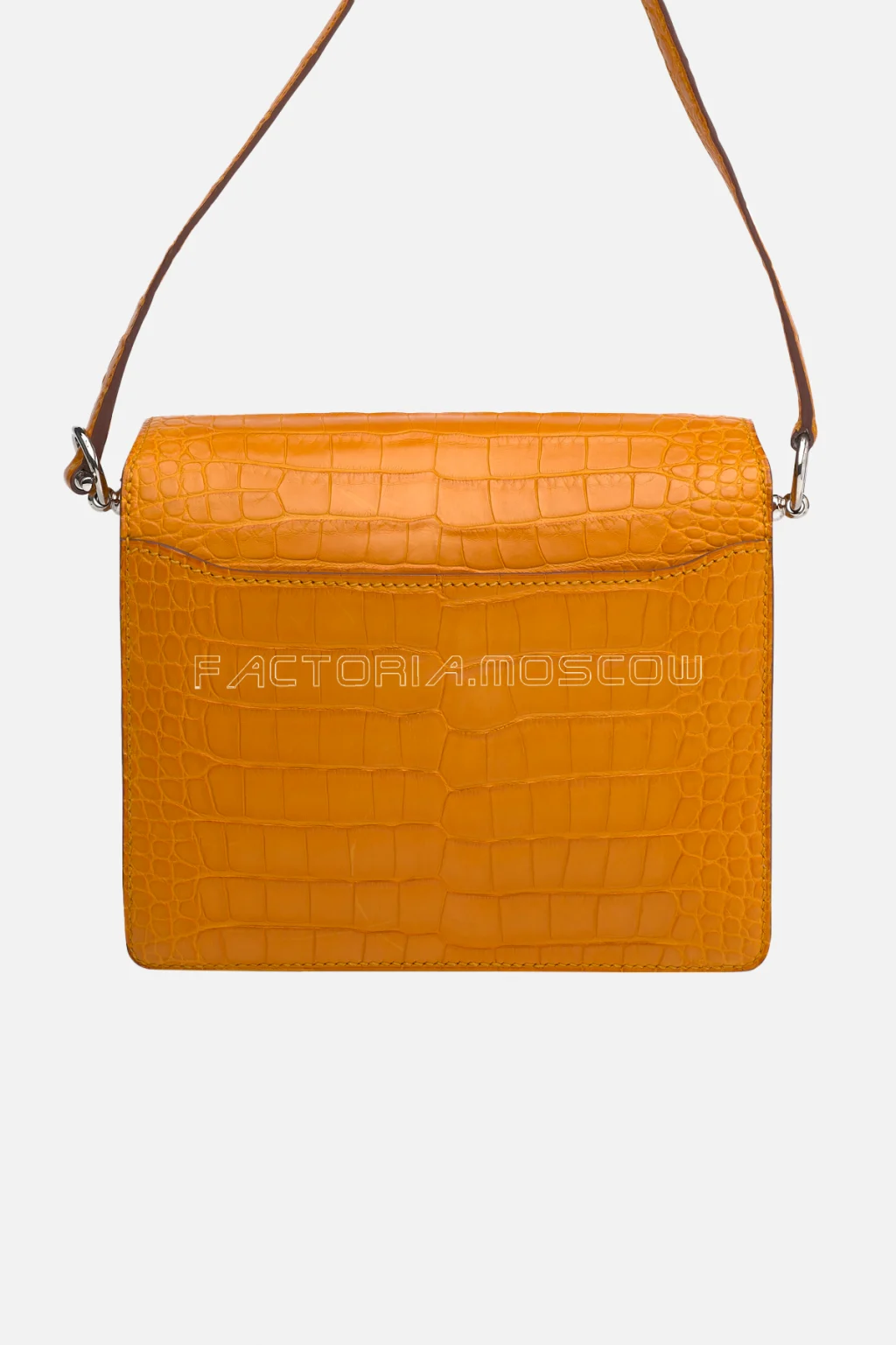 Alligator