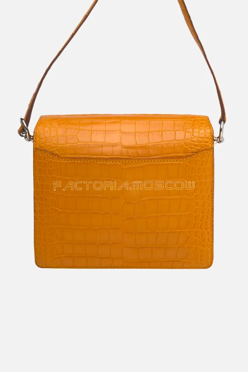 Alligator