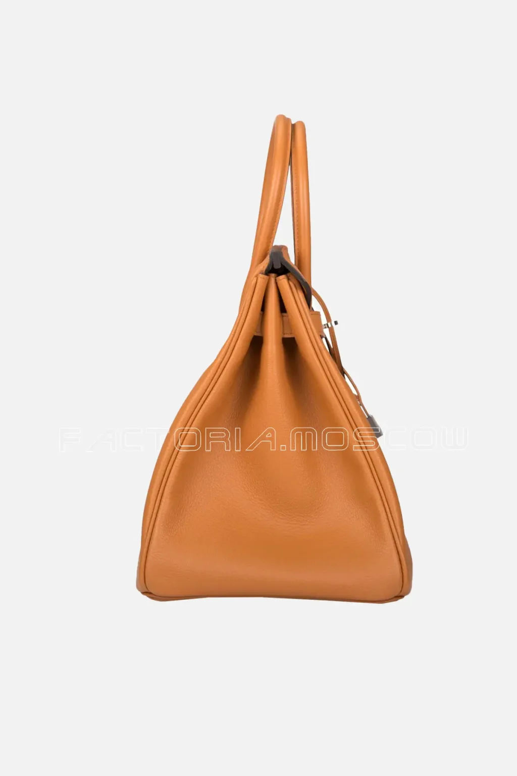 Taurillon Novillo