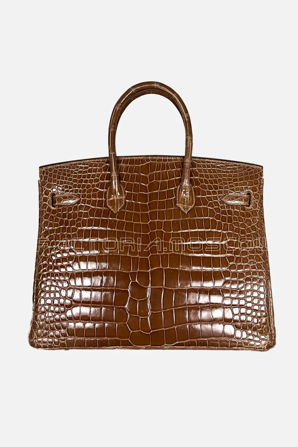 Hermes Birkin 35 Shiny Porosus Colour Ficelle Hardware PHW