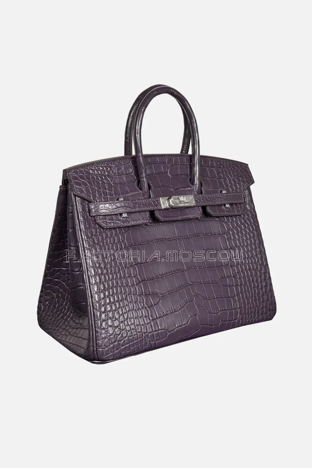 Hermes Birkin 25 Alligator Matte Colour Raisin Hardware PHW