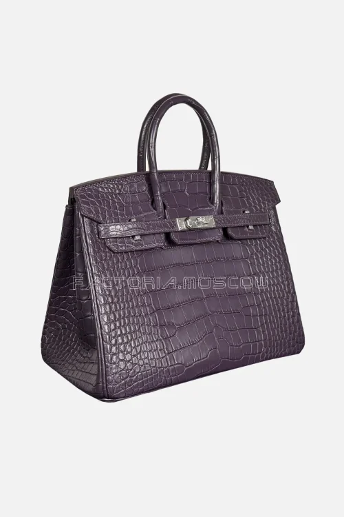 Hermes Birkin 25 Alligator Matte Colour Raisin Hardware PHW