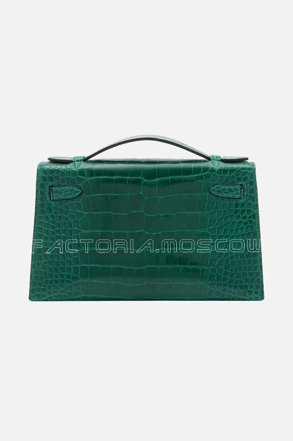 Shiny Alligator
