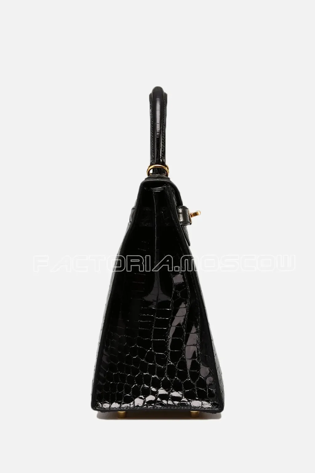 Crocodile Niloticus lisse