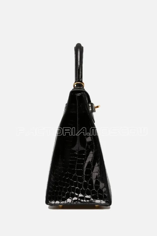 Crocodile Niloticus lisse