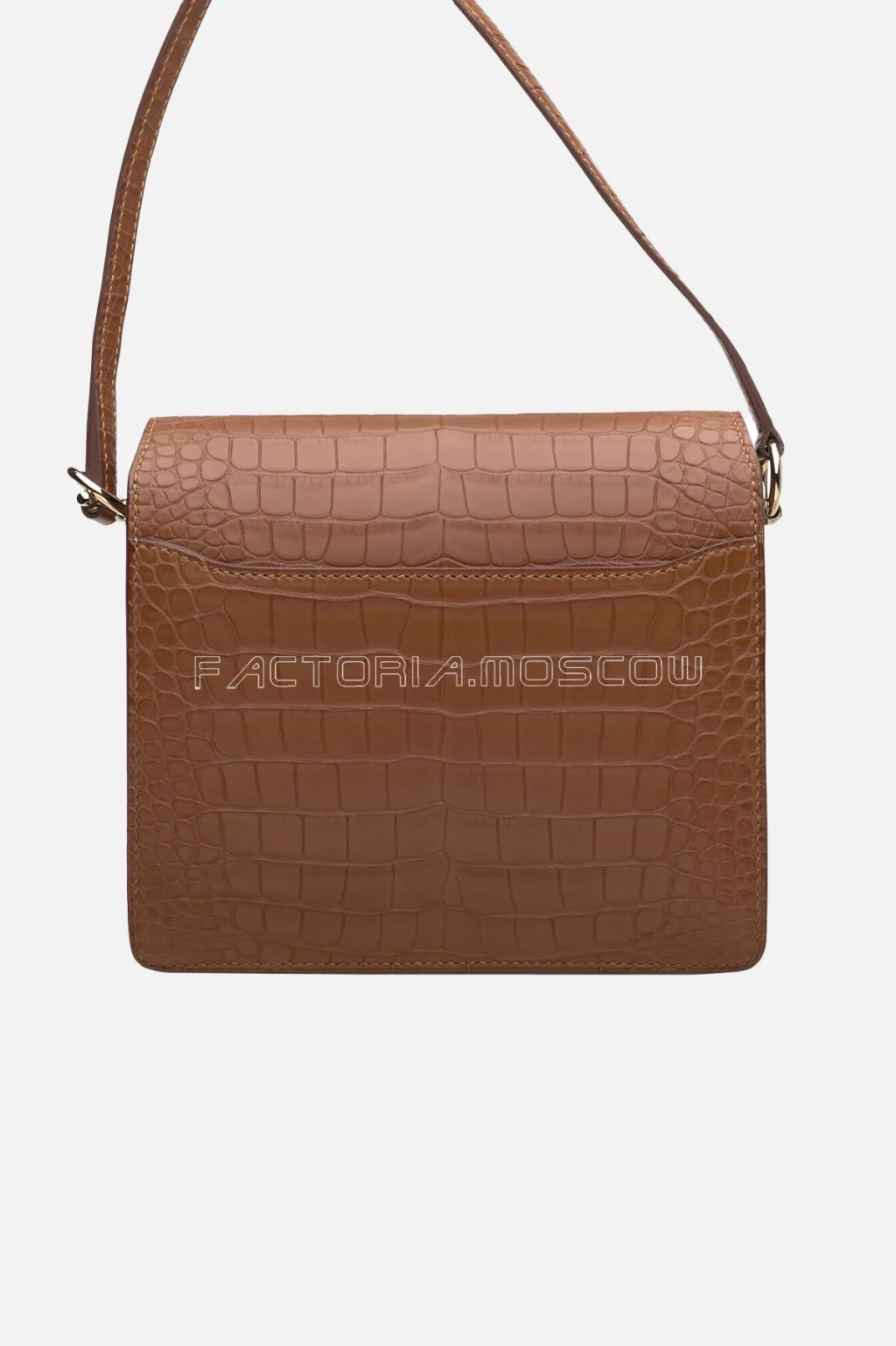 Alligator