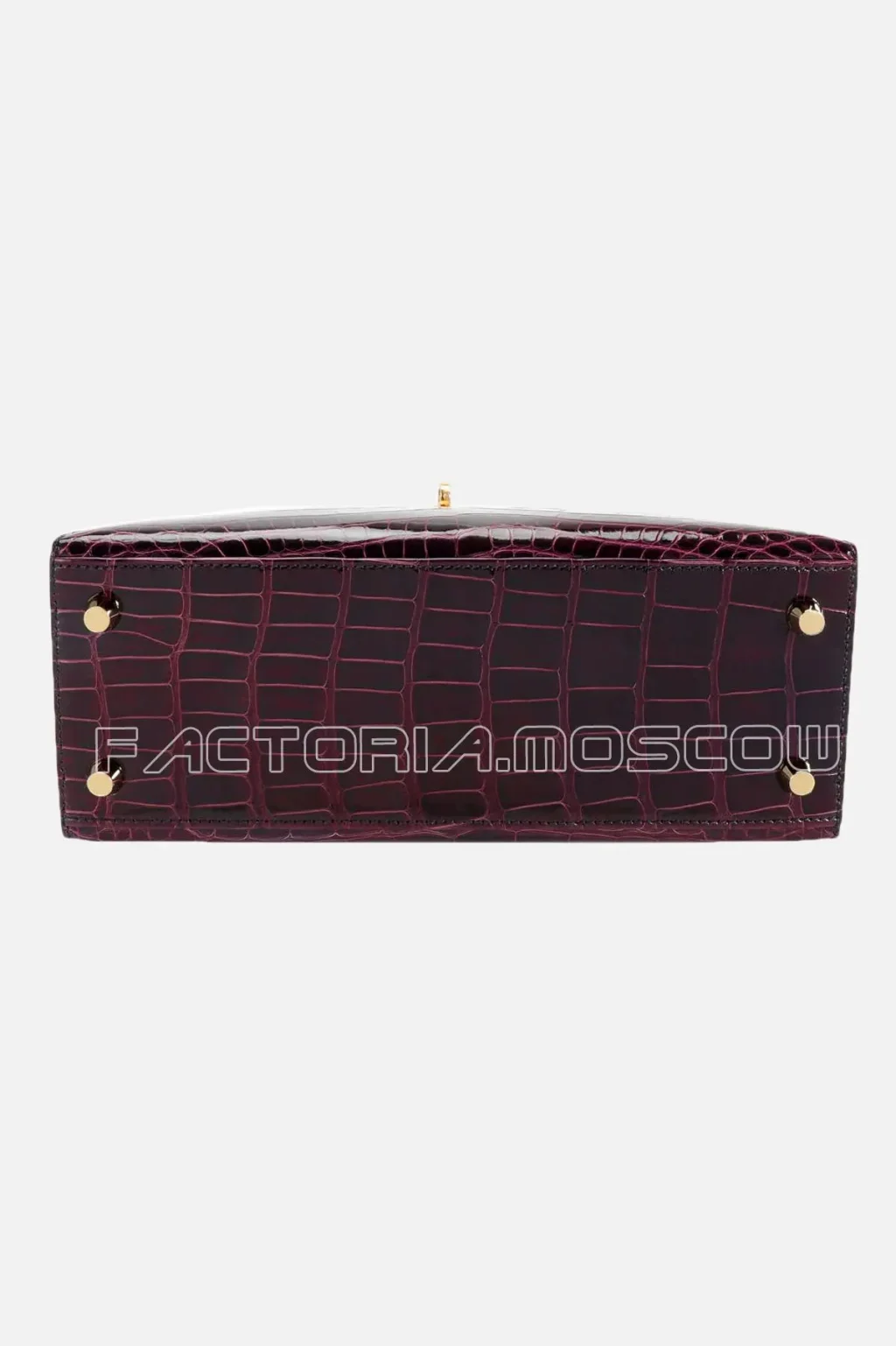 Alligator lisse