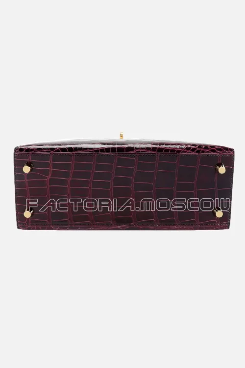Alligator lisse