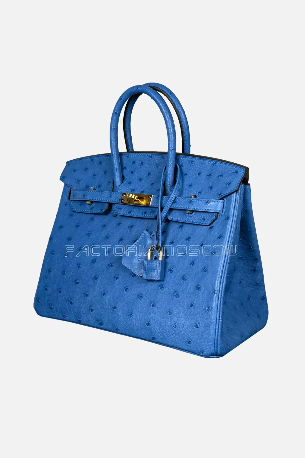 Hermes Birkin 25 Ostrich Colour Blue Zellige Hardware GHW