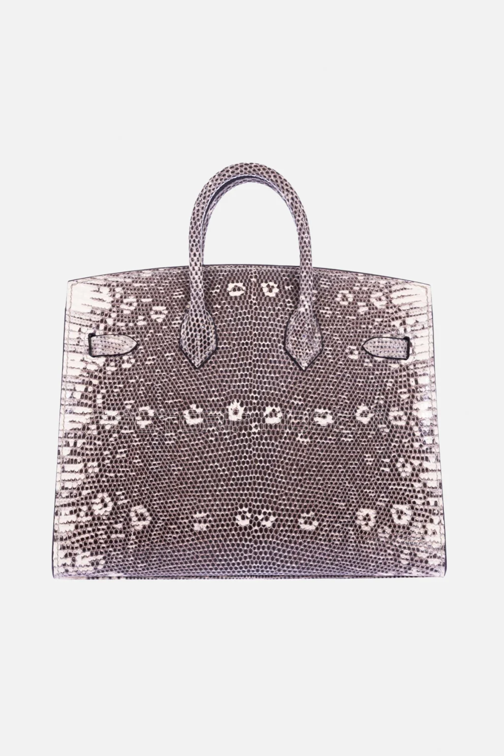 Hermès Birkin 20 Sellier Ombre Varanus Salvator Lizard PHW