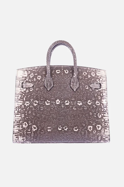 Hermès Birkin 20 Sellier Ombre Varanus Salvator Lizard PHW