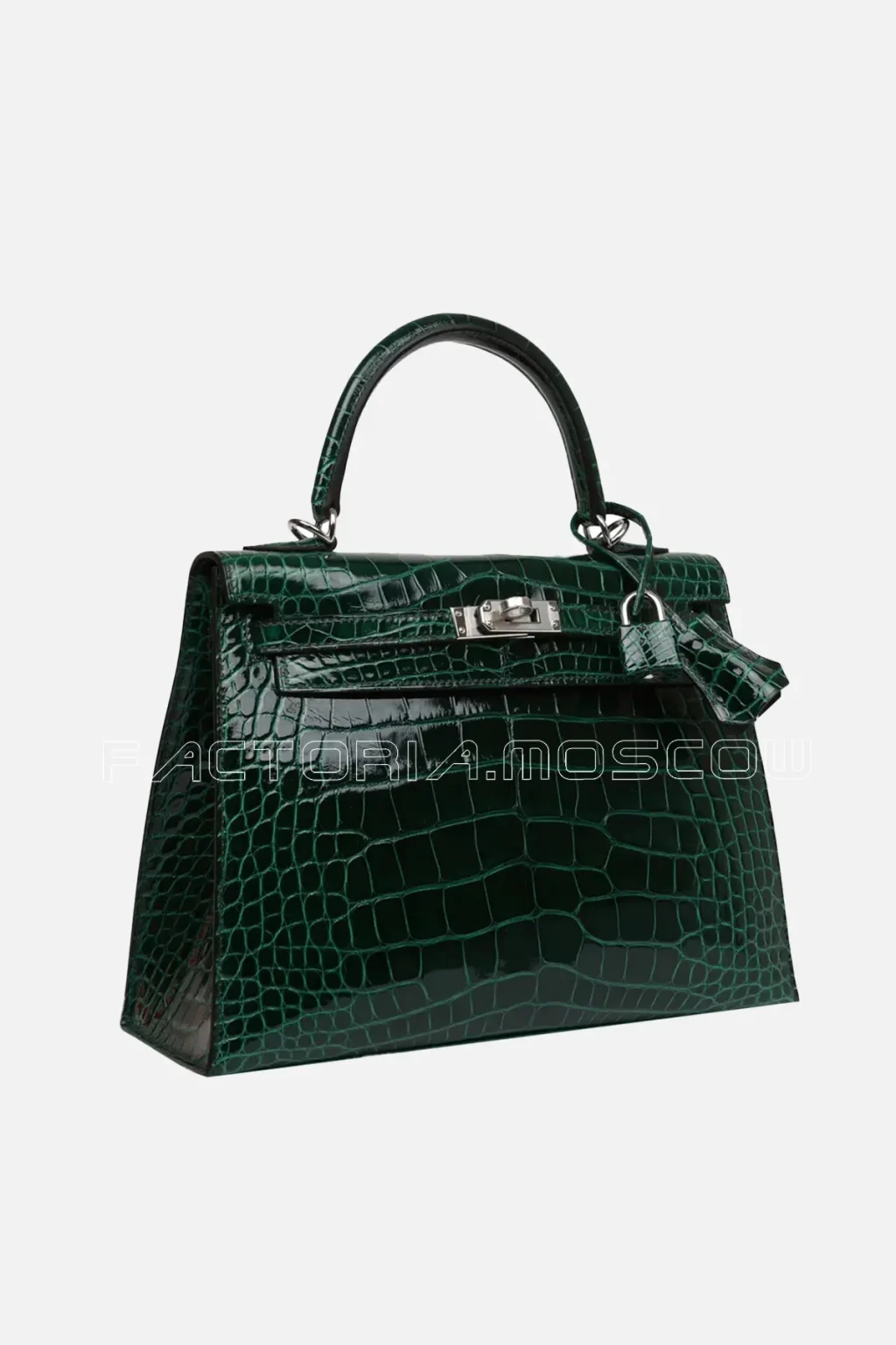 Shiny Alligator