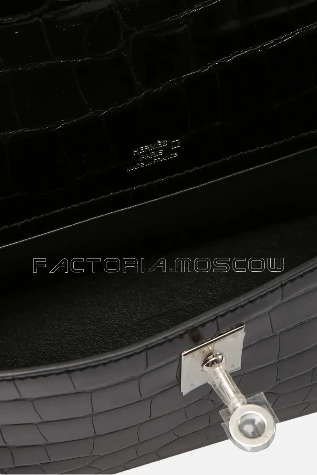 Shiny Alligator