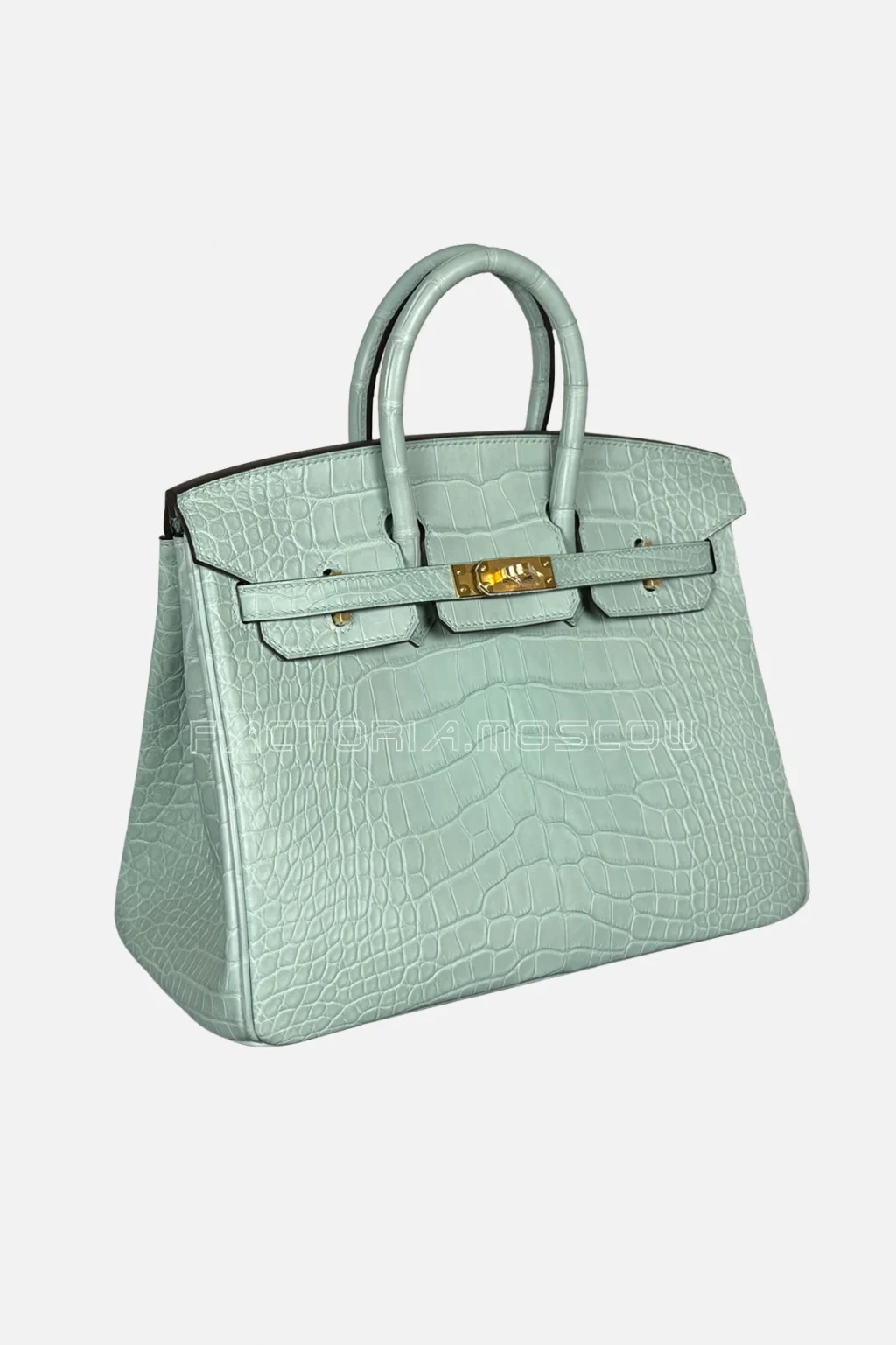 Hermès Birkin 25 Alligator Matte Colour Vert D'Eau Hardware GHW