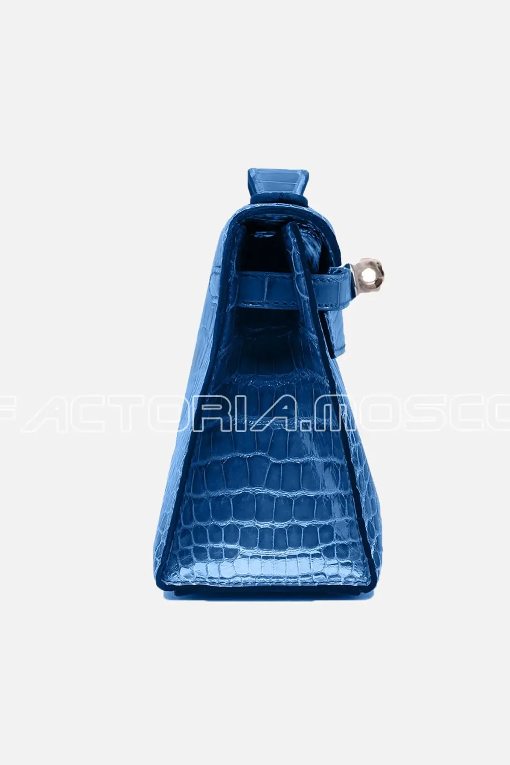 Alligator lisse