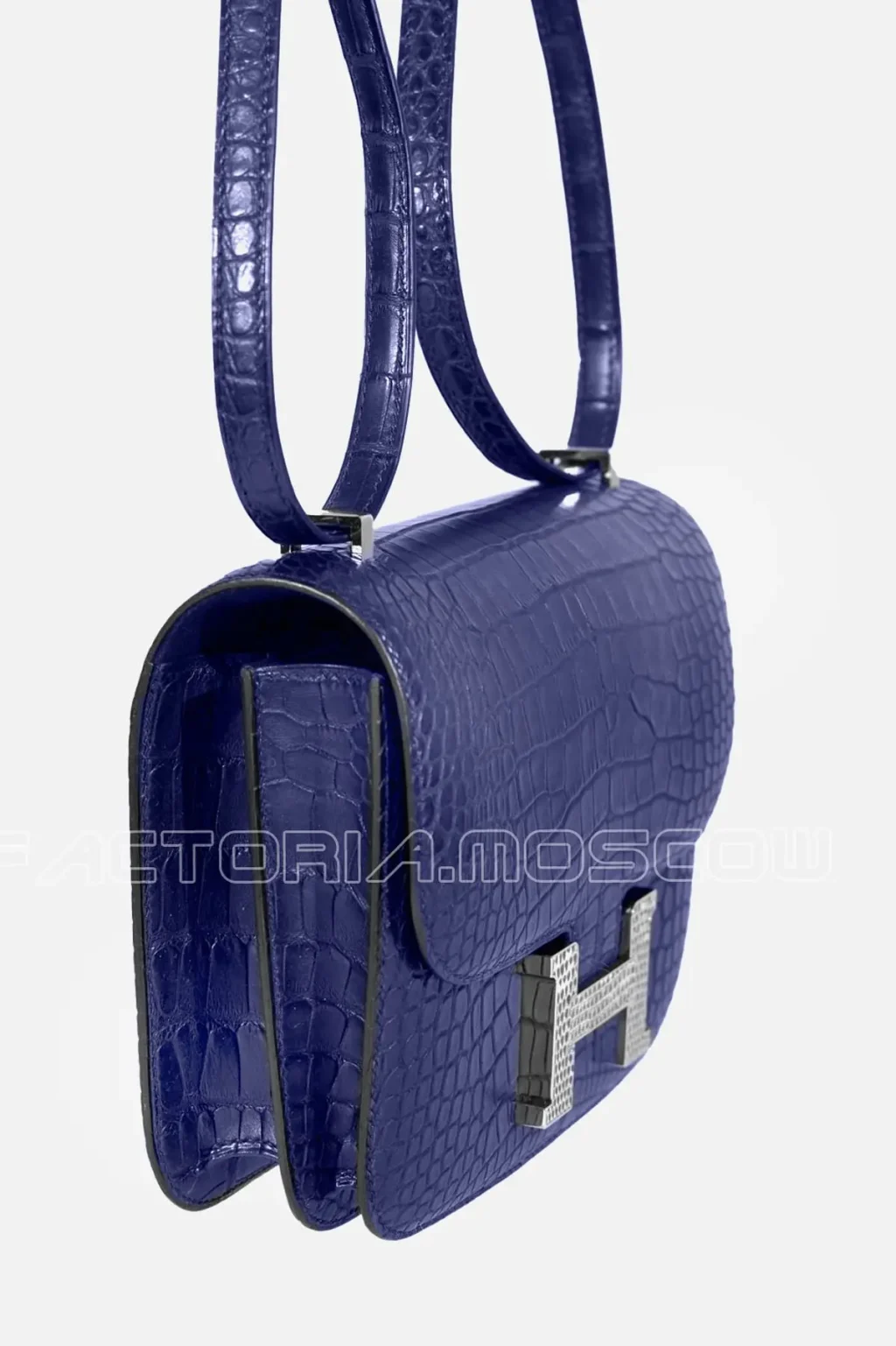 Lizard buckle