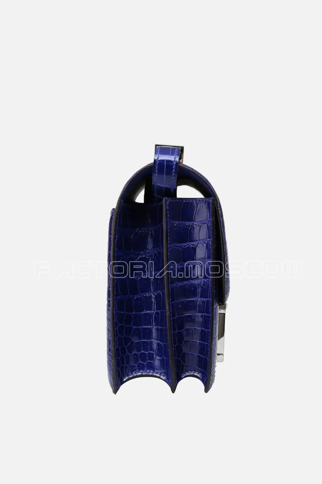 Crocodile Niloticus lisse
