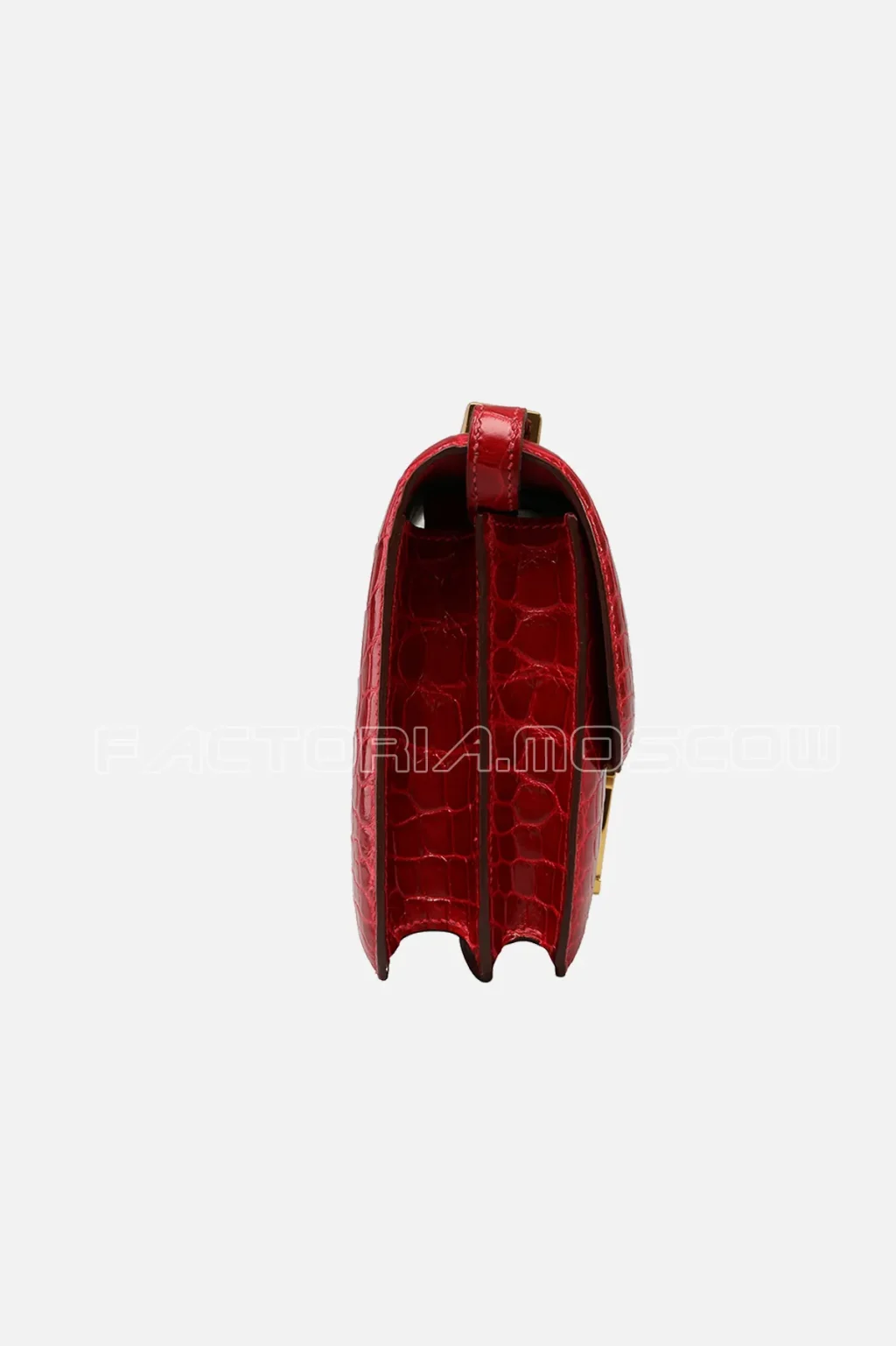 Crocodile Niloticus lisse