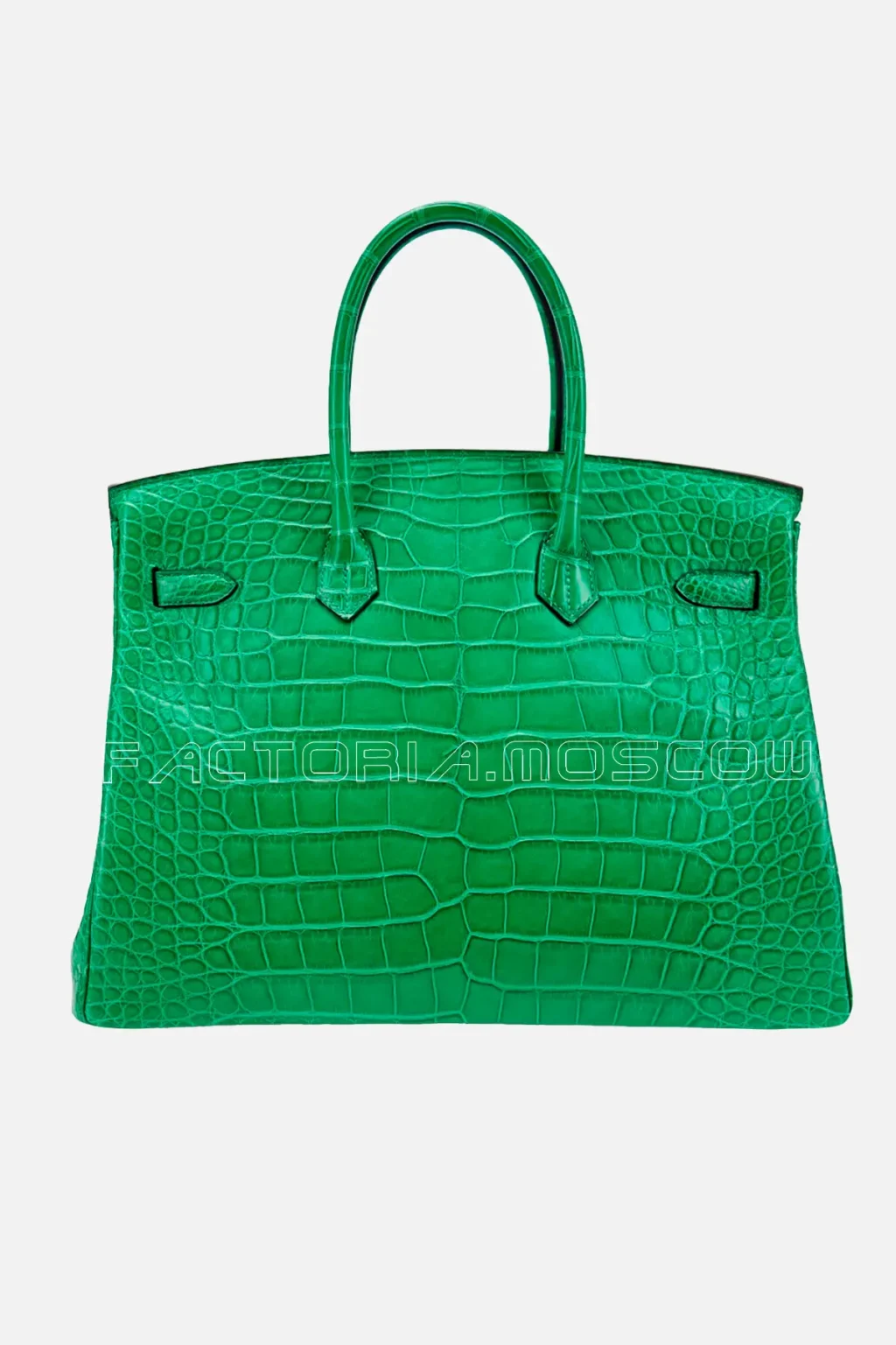 Hermes Birkin 35 Alligator Matte Colour Cactus PHW