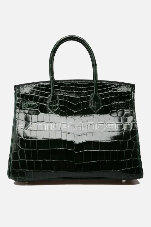 Crocodile Niloticus lisse
